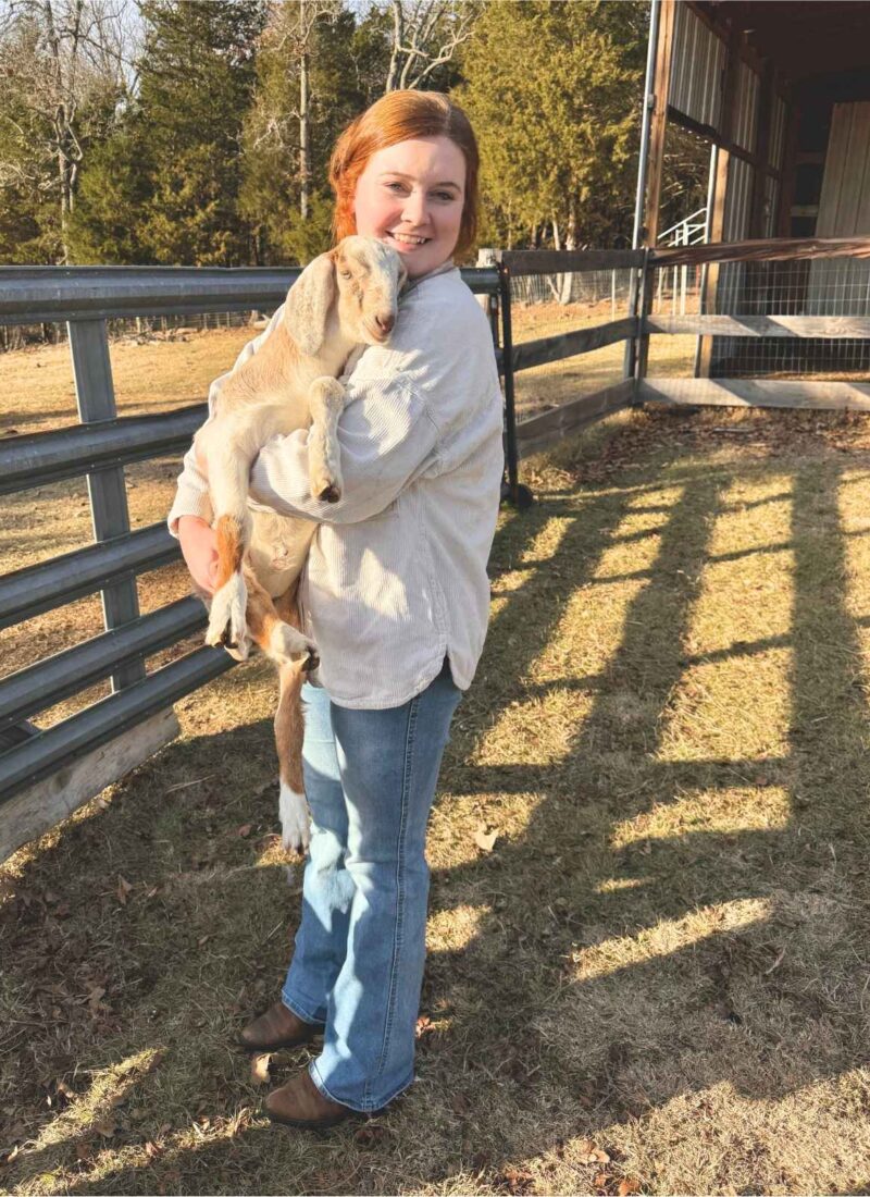 Girl holding a 4 week old nubian buckling in front of a metal gate