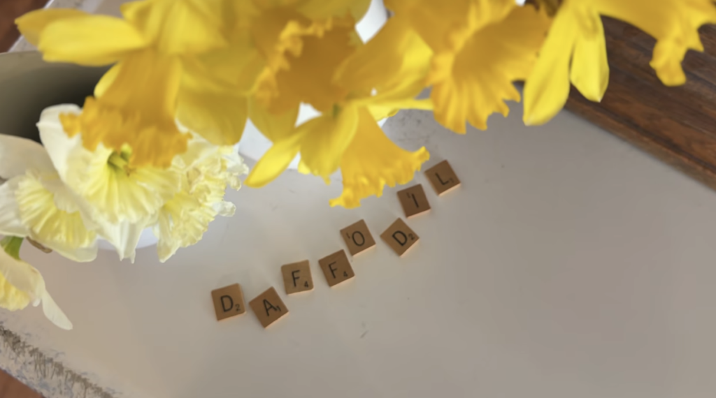 scrabble tiles spelling "daffodil" laid out on white enamel countertop with a pitcher of yellow and cream daffodils above