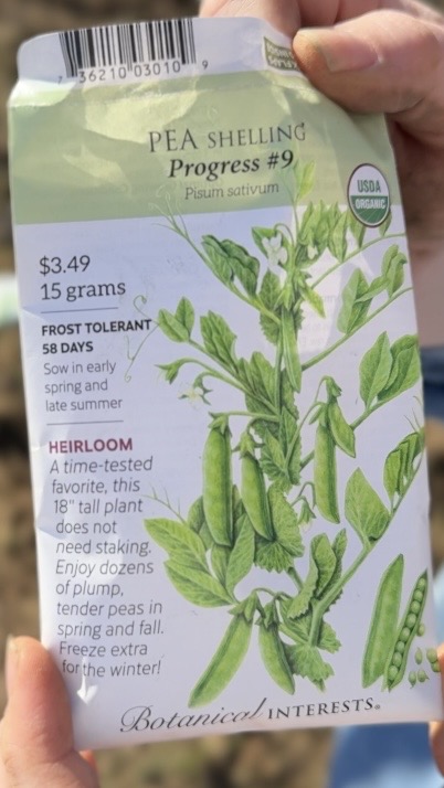 Botanical Interest Packet of Progress #9 seeds held up