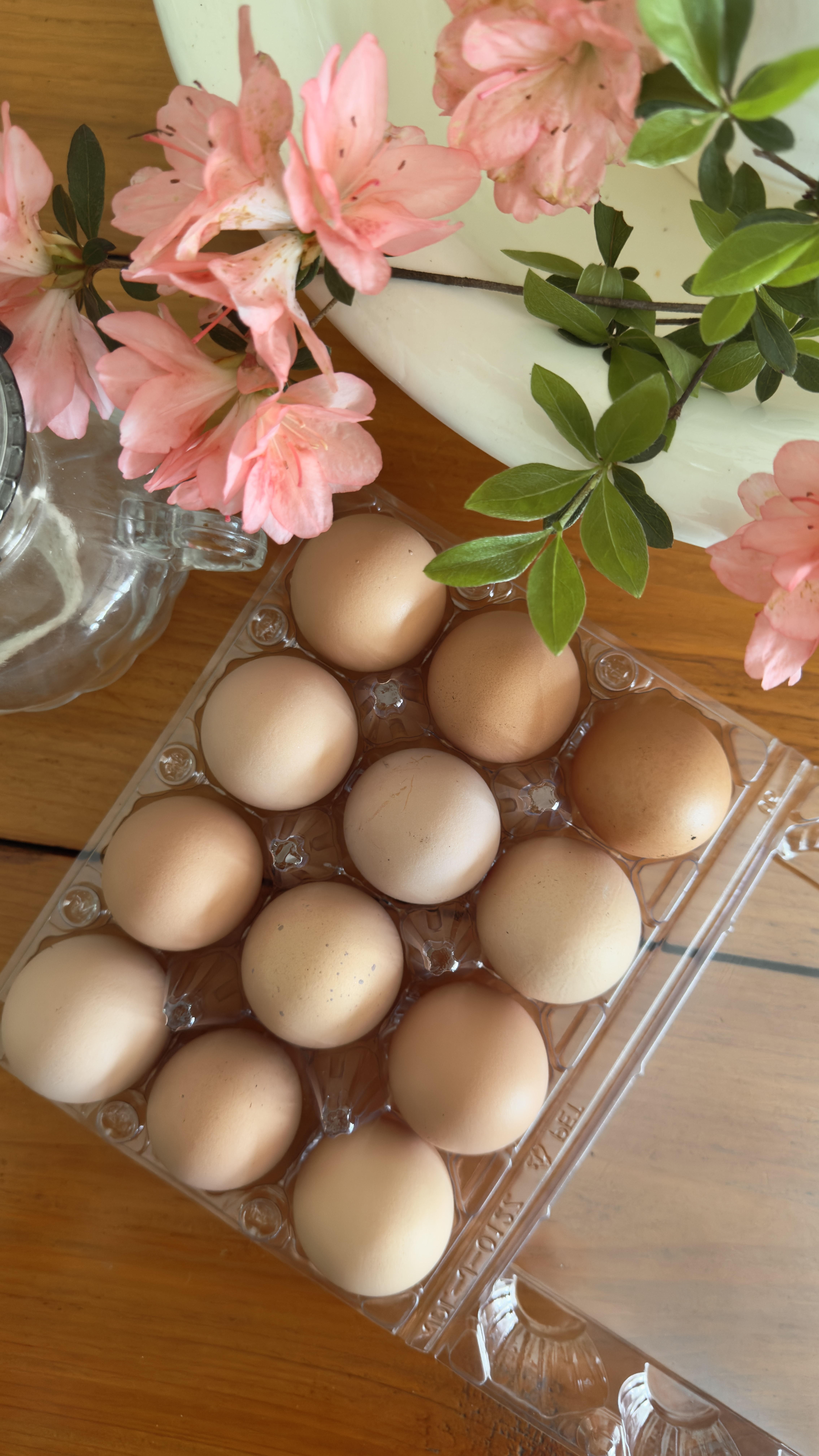 clear plastic carton of brown farm fresh chicken eggs on an old farmhouse table surrounded by pink azalea blooms.