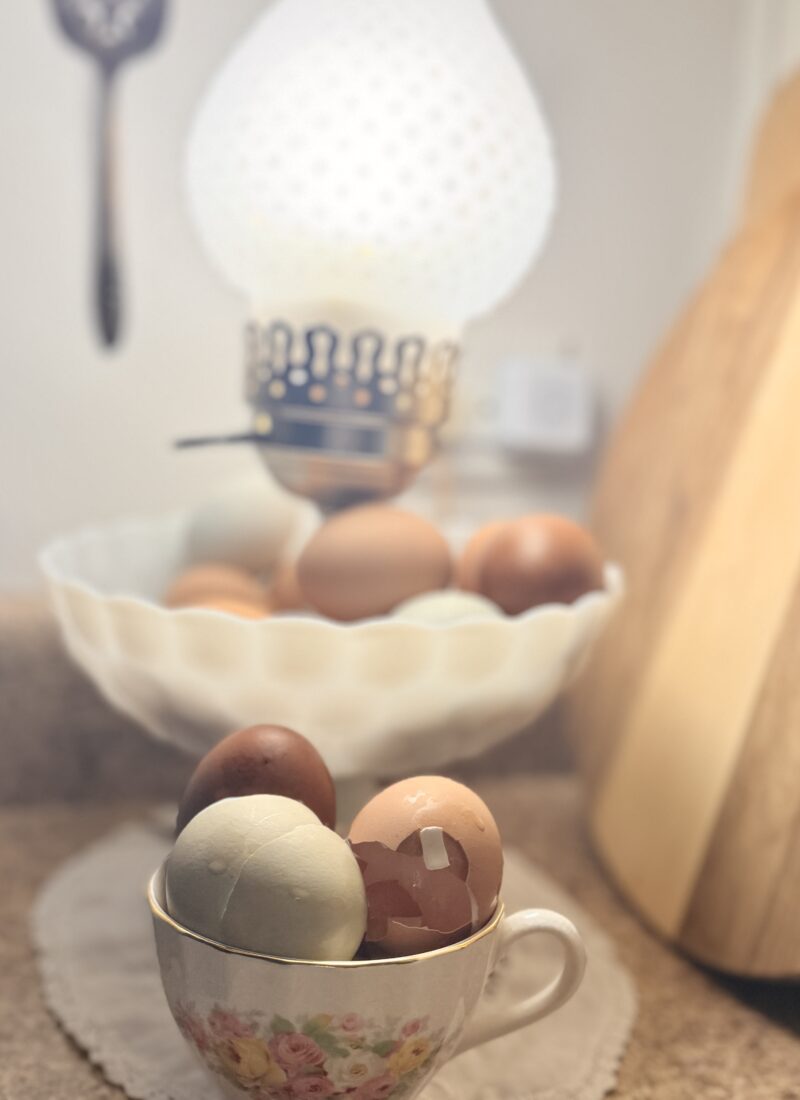 Green and brown egg shells stacked in an antique teacup in front of an antique milk glass lamp full of eggs.