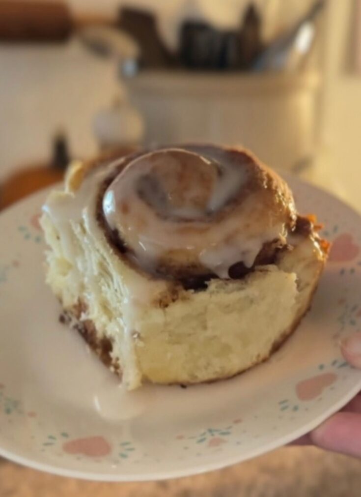 school cafeteria cinnamon roll on a vintage correlle plate